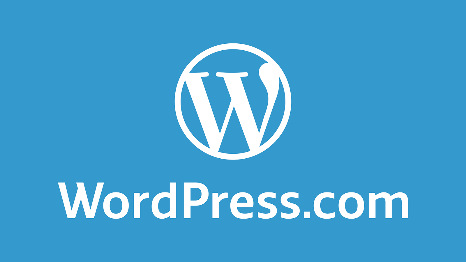 wordpress website